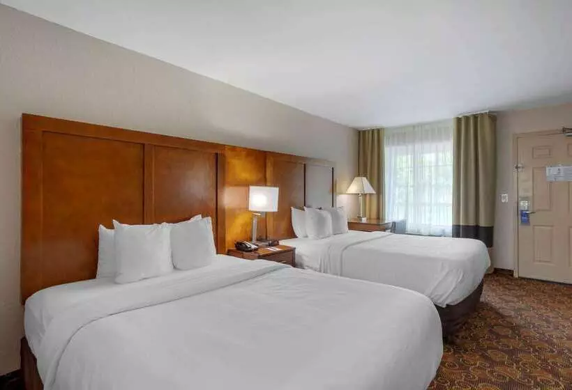 호텔 Comfort Inn Downtown Nashville  Music City Center