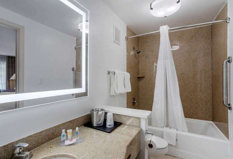 בית מלון כפרי Comfort Inn Downtown Nashville  Music City Center