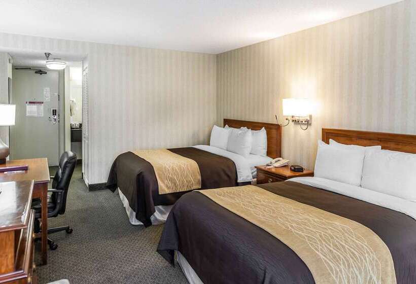 هتل Comfort Inn Pentagon City