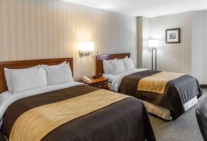 هتل Comfort Inn Pentagon City
