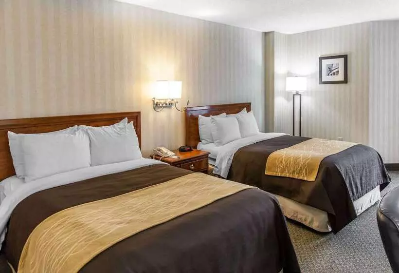 هتل Comfort Inn Pentagon City