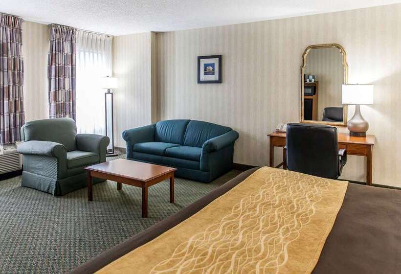 هتل Comfort Inn Pentagon City