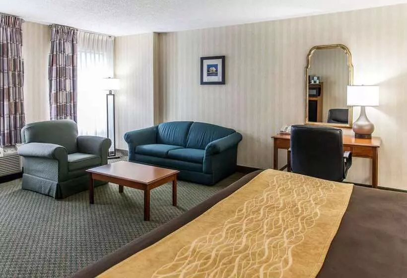 هتل Comfort Inn Pentagon City