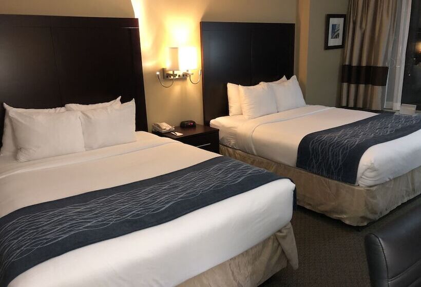 هتل Comfort Inn Pentagon City