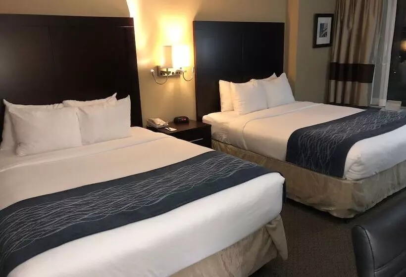 هتل Comfort Inn Pentagon City