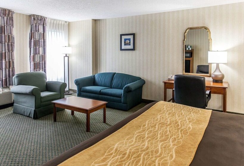 هتل Comfort Inn Pentagon City