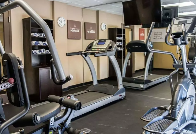 酒店 Comfort Suites Clearwater  Dunedin