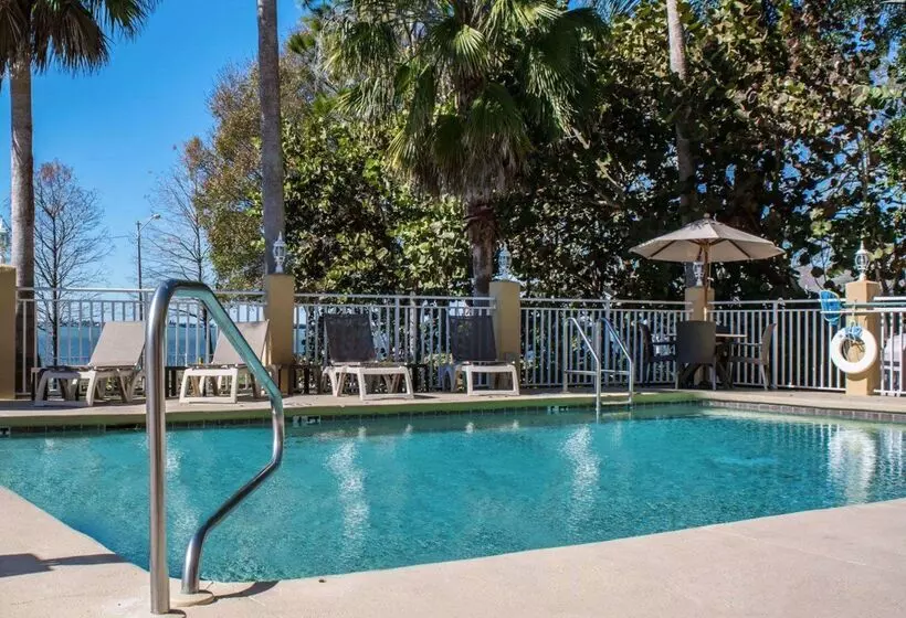 酒店 Comfort Suites Clearwater  Dunedin