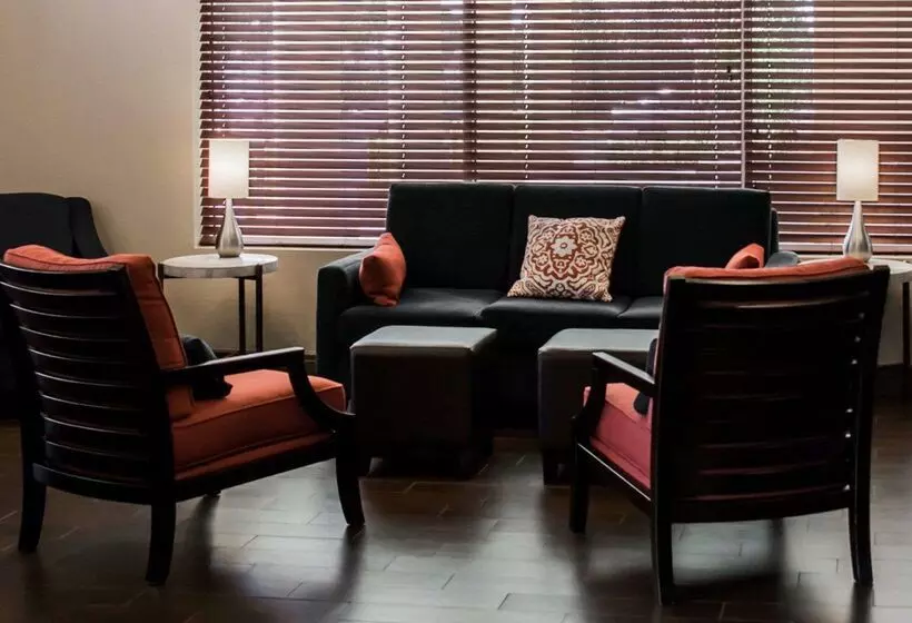 酒店 Comfort Suites Clearwater  Dunedin