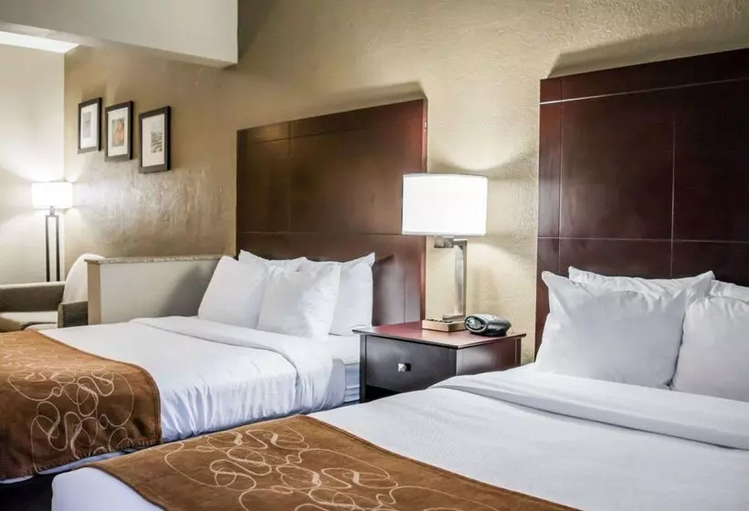 酒店 Comfort Suites Clearwater  Dunedin