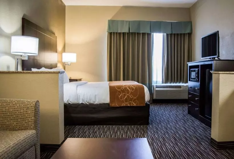 酒店 Comfort Suites Clearwater  Dunedin