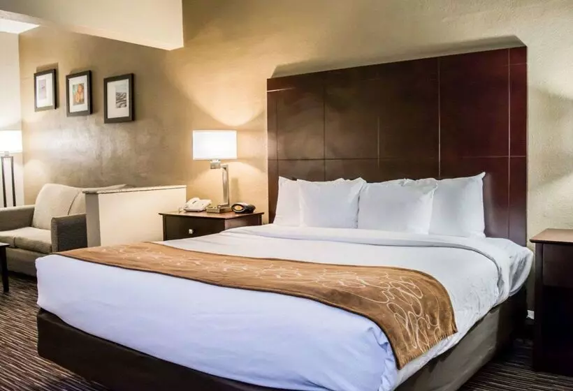 酒店 Comfort Suites Clearwater  Dunedin