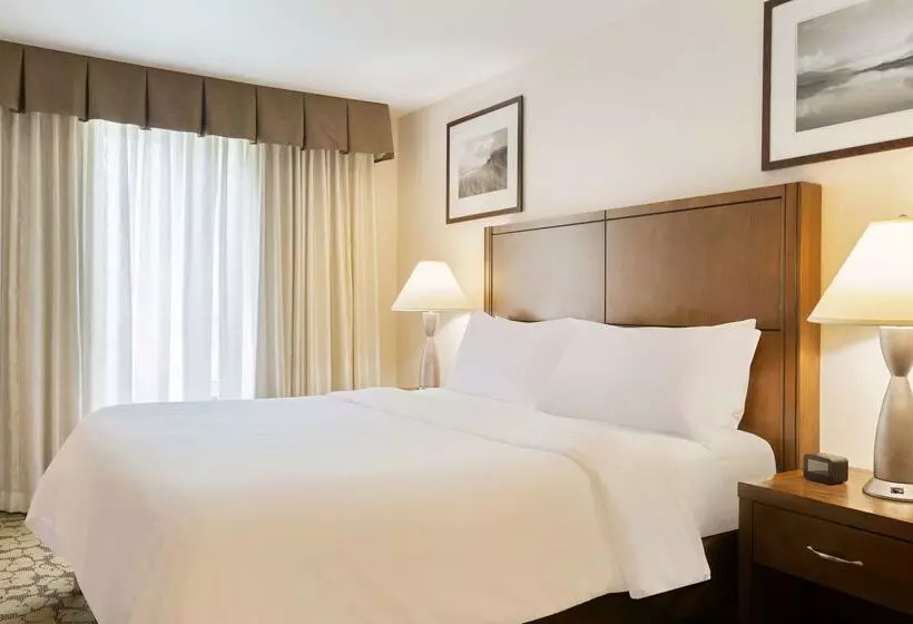 호텔 Hilton Garden Inn Lax  El Segundo