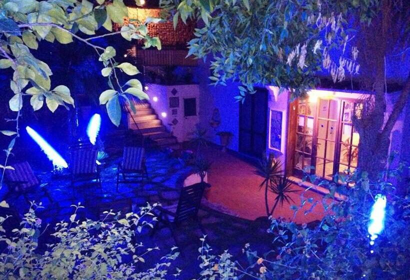 هتل Mediterraneo Guest House