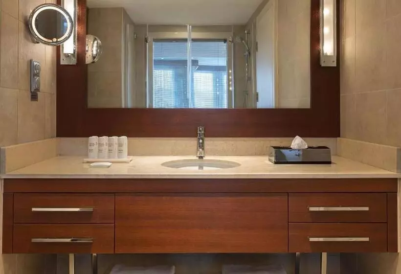 ホテル Radisson Blu Bosphorus