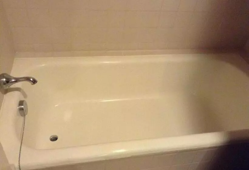 هتل Real De Uruapan