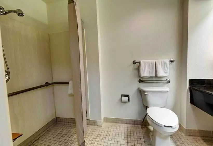 فندق على الطريق Executive Inn & Suites