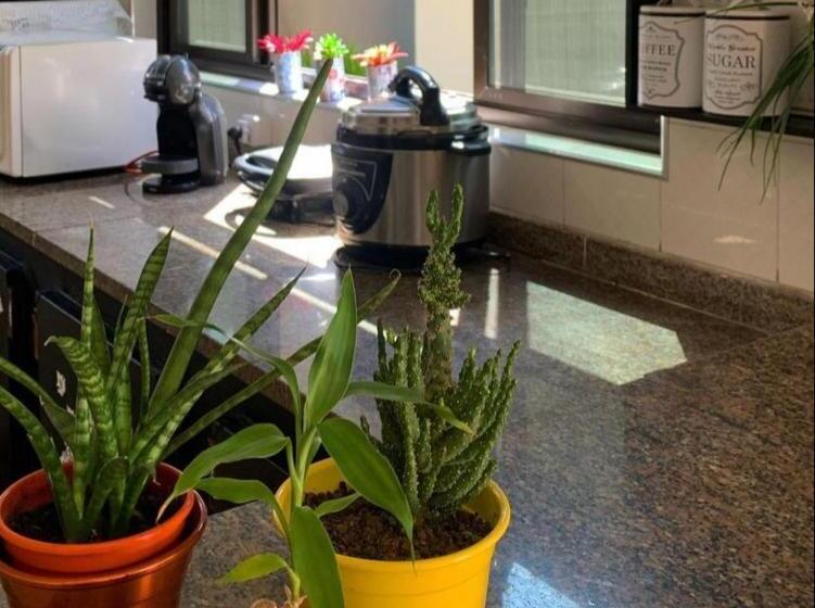 Alma De Maré Hostel