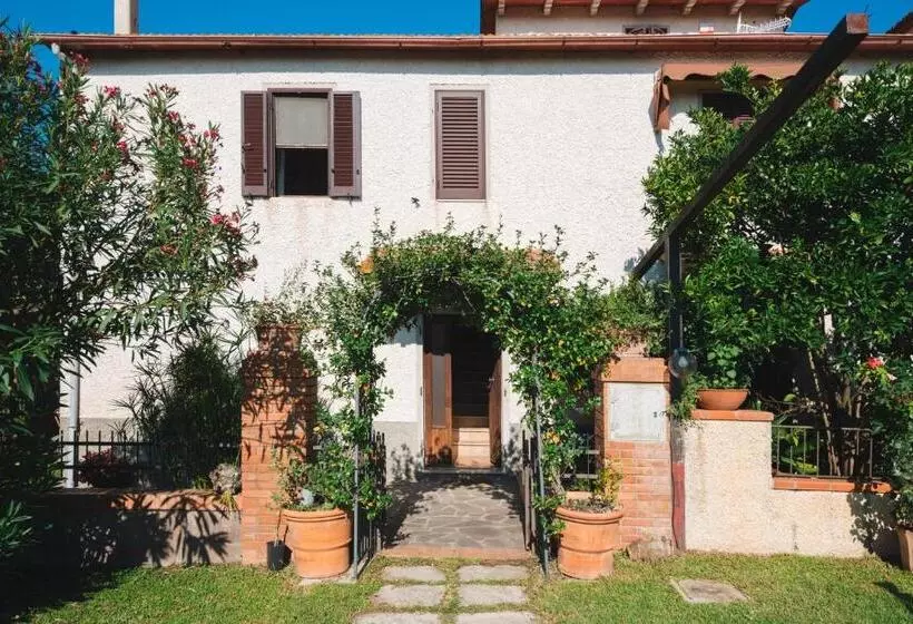 ホテル Agriturismo Podere Ristella Wine&food