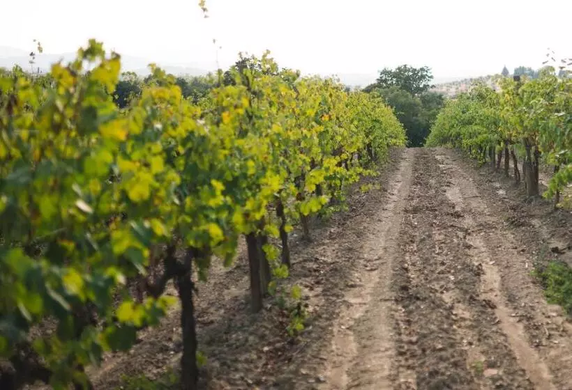 ホテル Agriturismo Podere Ristella Wine&food