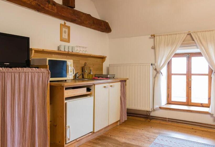 פנסיון Penzion Vinicky Dvůr