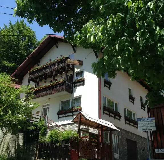 ペンション Vila Thomas