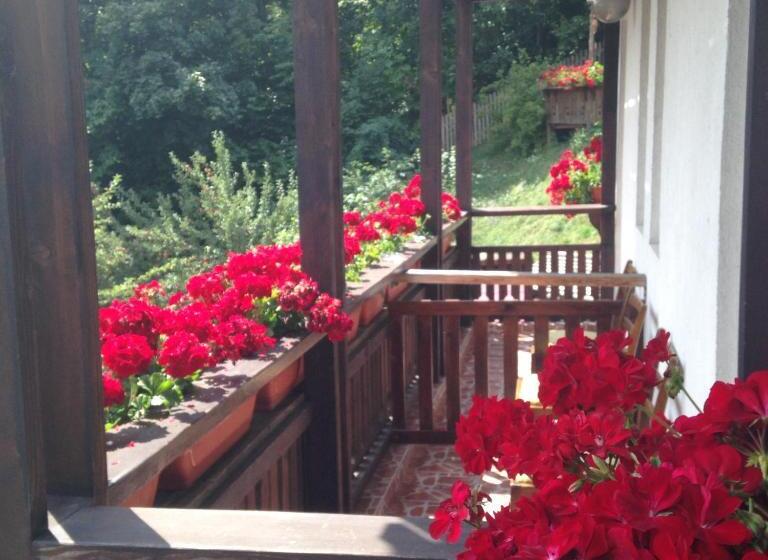 Пансион Vila Thomas