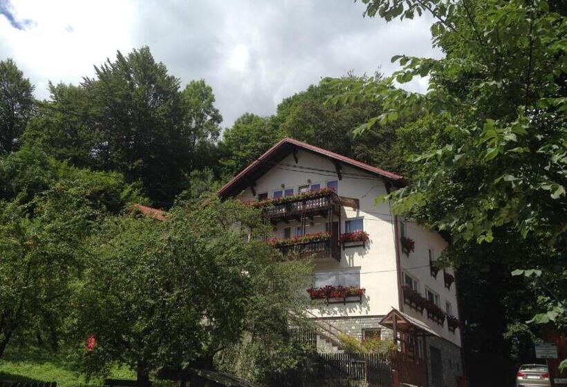 Пансион Vila Thomas