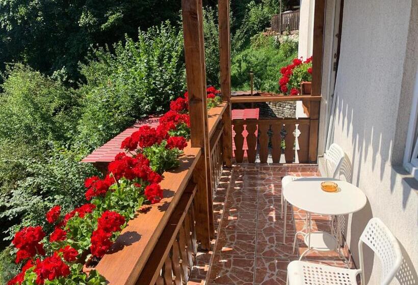 Пансион Vila Thomas