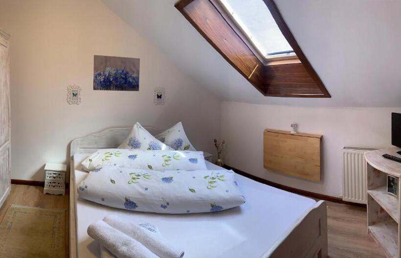 Пансион Vila Thomas