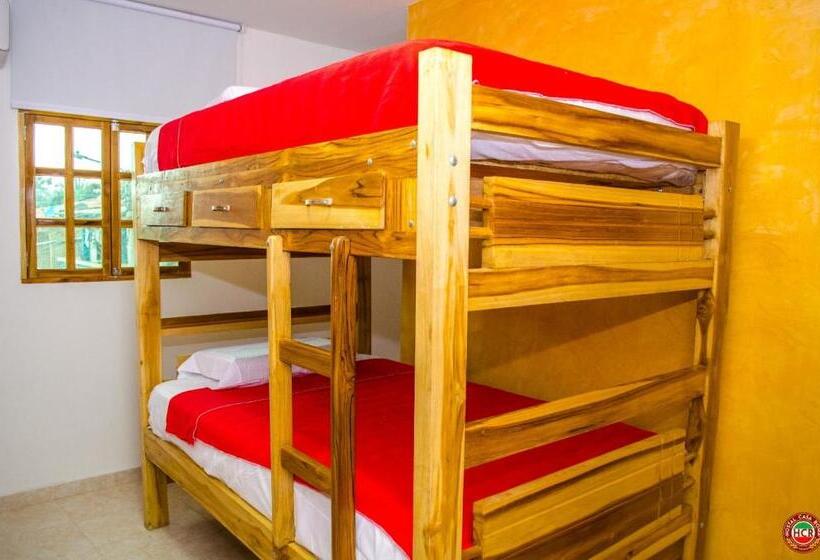 בית מלון כפרי Hostal Casa Roma