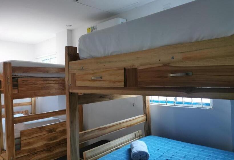 בית מלון כפרי Hostal Casa Roma