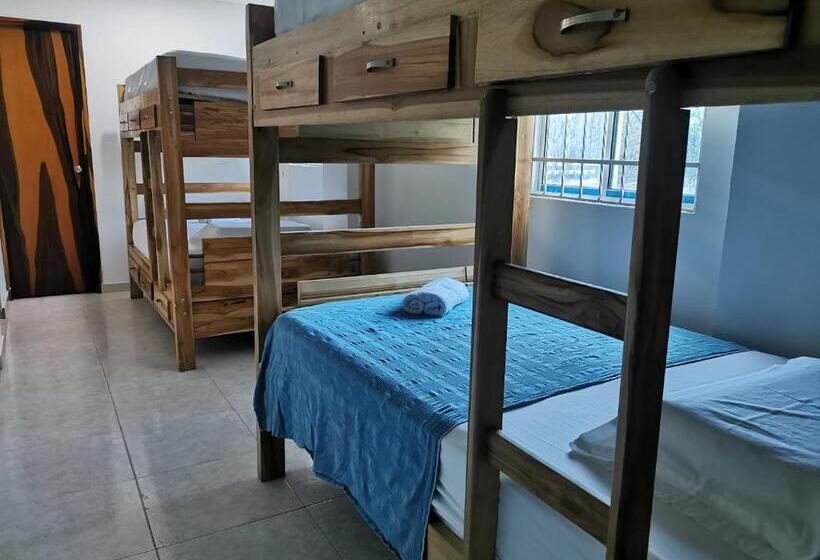 בית מלון כפרי Hostal Casa Roma