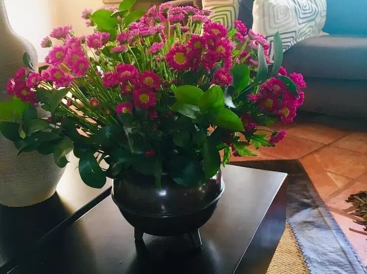 ペンション Casa De Las Flores