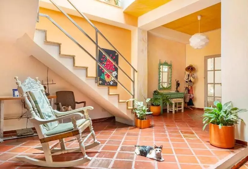 ペンション Junto Al Mar Y El Manglar