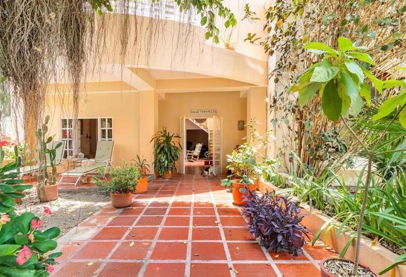 펜션 Junto Al Mar Y El Manglar