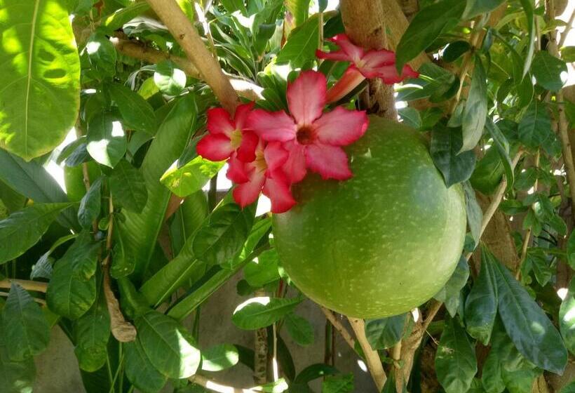 ペンション Minory Guesthouse