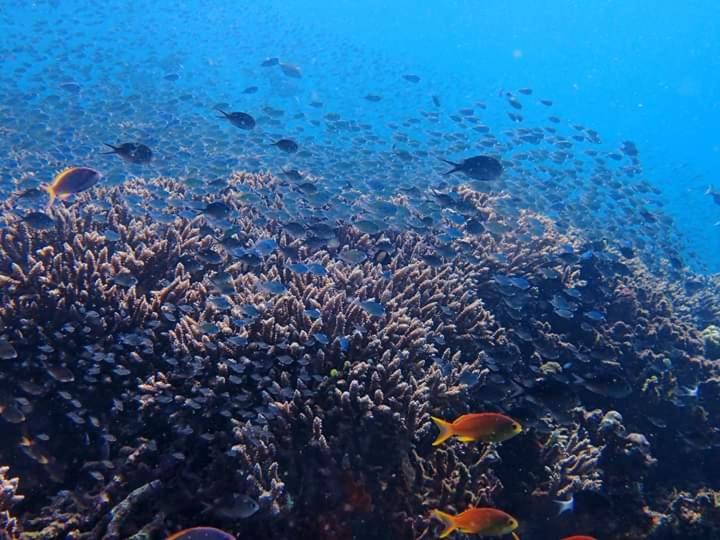 ペンション Minory Guesthouse