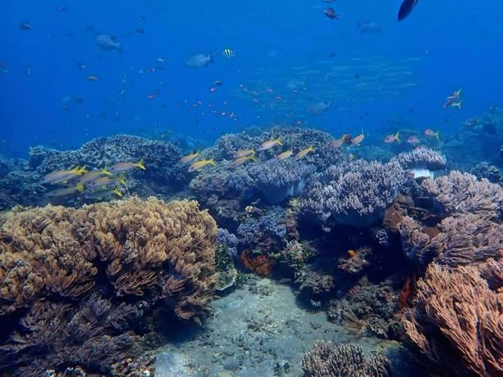 ペンション Minory Guesthouse