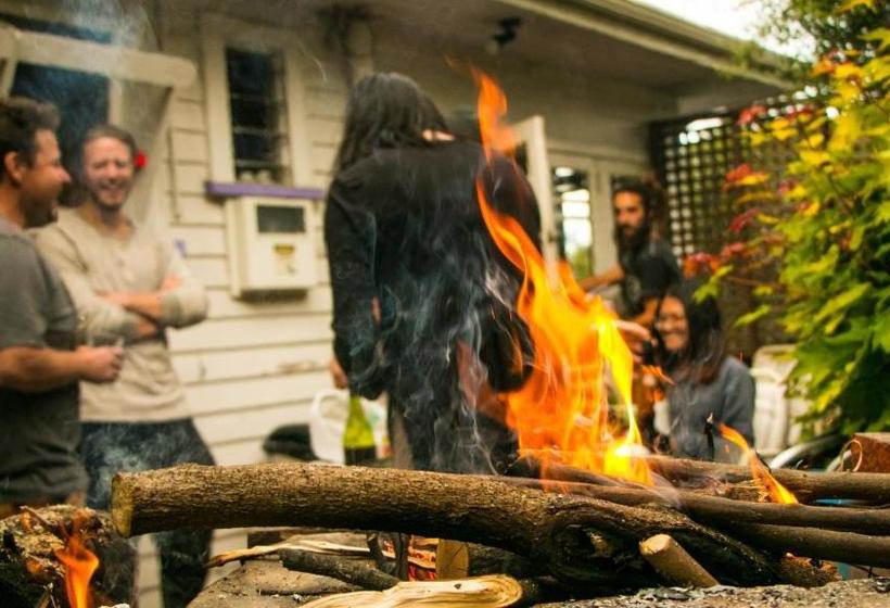 فندق صغير The Palace Backpackers