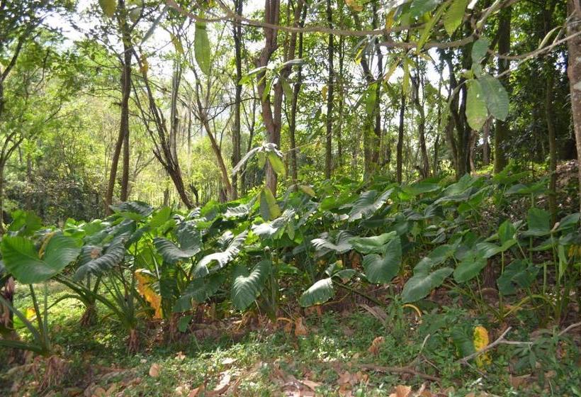 هتل Campestre La Ribera Del Fonce
