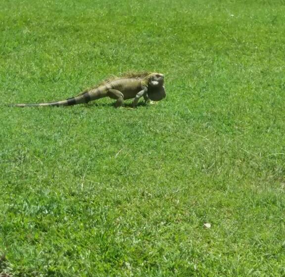 هتل Campestre La Ribera Del Fonce