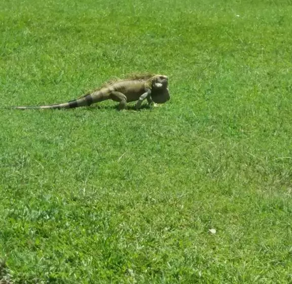 ホテル Campestre La Ribera Del Fonce