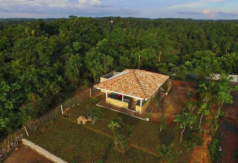 בית מלון כפרי The Horizon Hill Top Villa