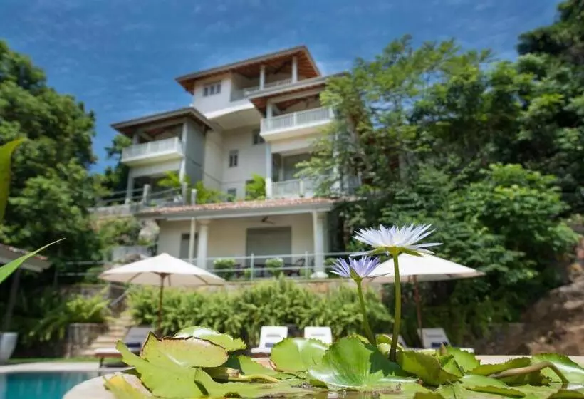 Hotel The Horizon Hill Top Villa