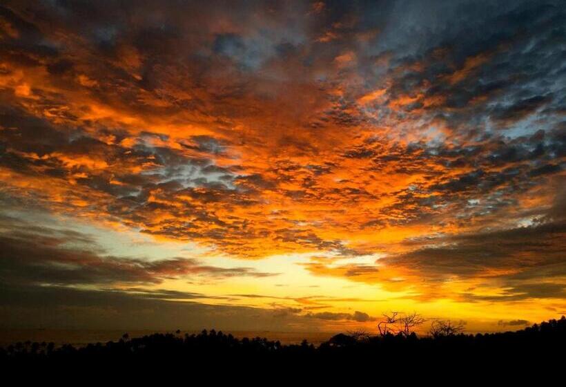 בית מלון כפרי The Horizon Hill Top Villa