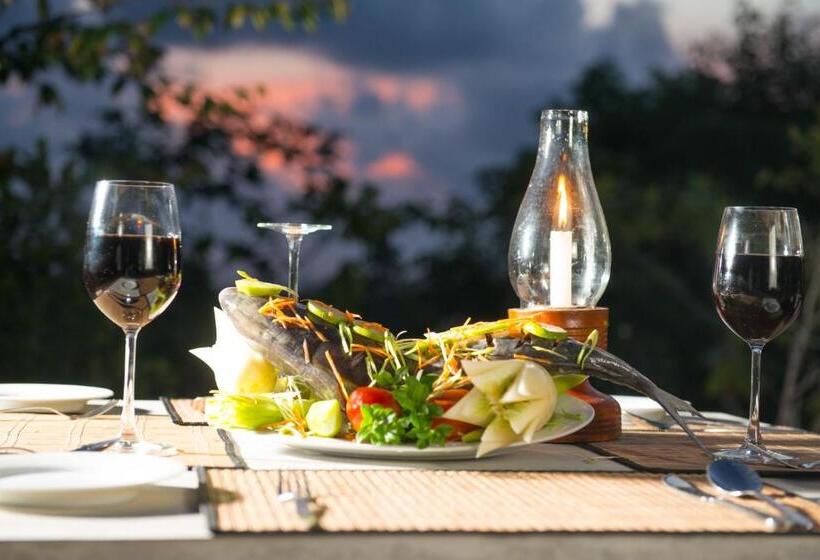 בית מלון כפרי The Horizon Hill Top Villa