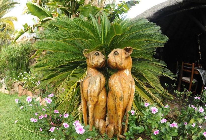 پانسیون African Kwela Guest House