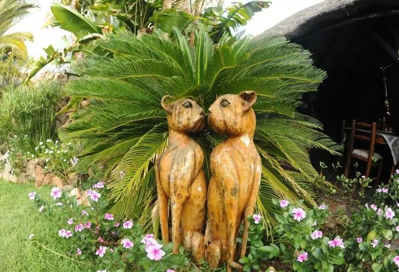 پانسیون African Kwela Guest House