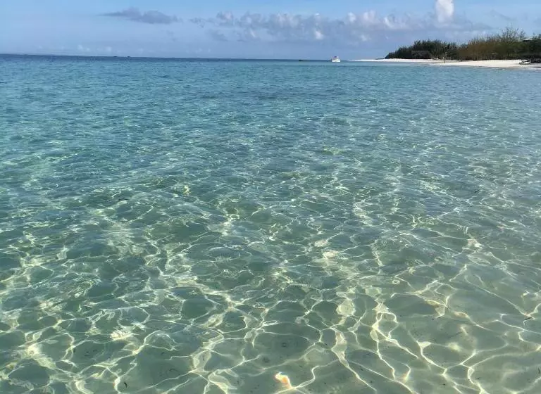 ペンション Barefoot Zanzibar